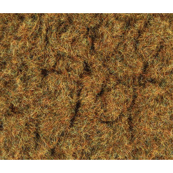 2mm Herbes d'hiver 30g