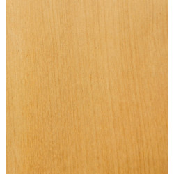 Planchette de Buis 0,7 mm 1000x100x0,7
