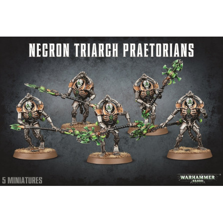 40K - Necron Triarch Praetorains