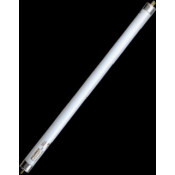 Tube d'éclairage blanc de 8w (non actinique)