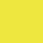 Jaune fluorescent