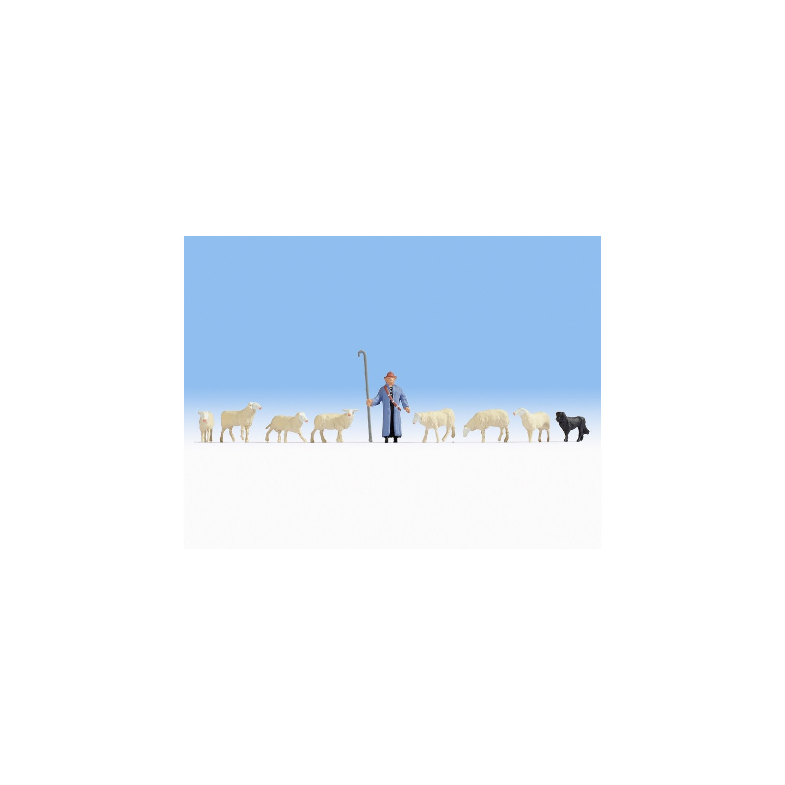 Quelle Est La Différence Entre Un Mouton Et Un Berger - NHMRJ