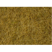 Pot d'herbe beige - 100g