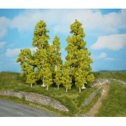 Bouleaux 6 pieces 5,5 cm