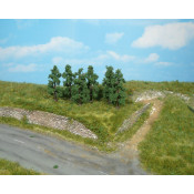 Poiriers 6 pieces 6 cm