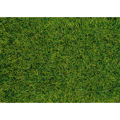 Herbes sauvages 6mm - Marecageux