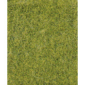 Herbes sauvages 6mm - Vert de prairie