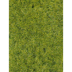 Herbes sauvages 6mm - Sol forestier
