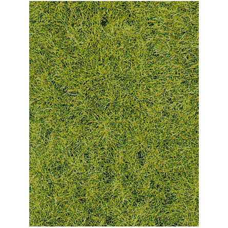Herbes sauvages 6mm - Sol forestier