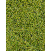 Herbes sauvages 6mm - Sol forestier