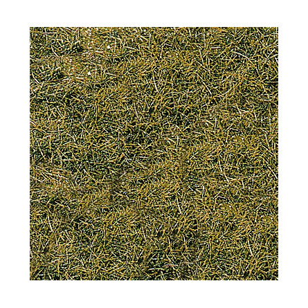 Herbes sauvages 6mm - terrain montagne