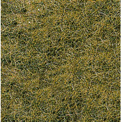 Herbes sauvages 6mm - terrain montagne