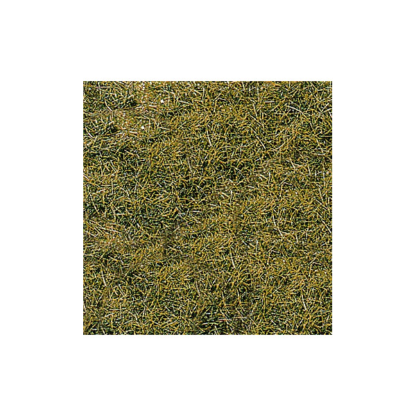 Herbes sauvages 6mm - terrain montagne