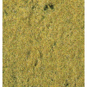 Herbes de prairie - Vert clair