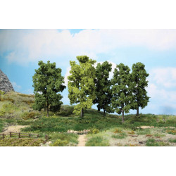 5 Arbres a feuilles 18 cm
