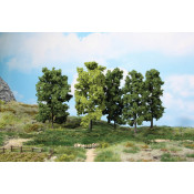 5 Arbres a feuilles 18 cm