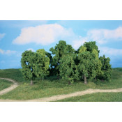 12 Arbres a feuilles 8 a 13 cm