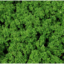 Feuillage vert 14 x 28 cm