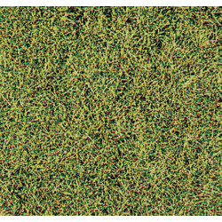 Herbes sauvages 6mm - Savane
