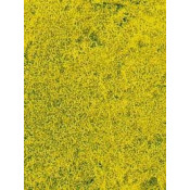 Herbes de prairie - Fleur de colza