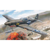 P-51A Mustang 1/72