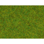 Pot d'herbe Printemps 2.5mm - 120g