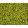 Pot d'herbe Eté 2.5mm - 120g
