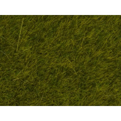Pot d'herbe sauvage 6 mm - 100 g