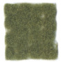 Wild Tuft - Dry Green - Vert sec 12mm