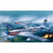 P-51D Mustang 1/72