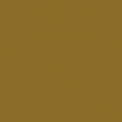 172 - Or - FS 17043 - Gold...