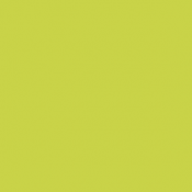 78 - Jaune Vert - Yellow...