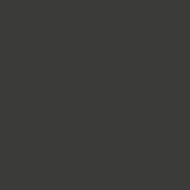 99 - Vert Cam. All. - Ger....