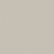 152 - Gris argente - FS...