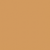 20 - Chair Bronzee - Sunny...