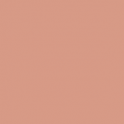 37 - Rose Saumon  - Salmon...