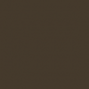 145 - Cam. All. Brun Moyen...