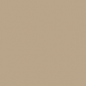 21 - Creme - Cream White - 21