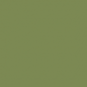 85 - Vert Clair - Bright...