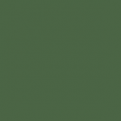 77 - Eclat Vert -  Splinter...