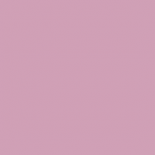 42 - Rose Clair - Light...