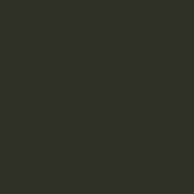 109 - Cam. Vert Noir - Cam....