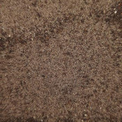 Sable à decor Sous bois