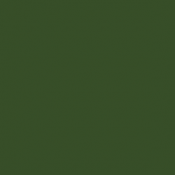 035-Vert  Angel - Angel Green