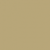 002-Ossement - Bone White