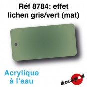 Effet lichen gris/vert...