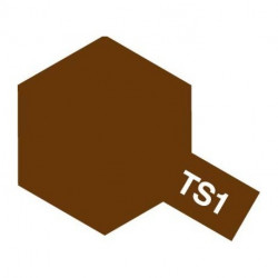 TS1 ROUGE BRUN MAT