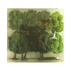 Boite de 10 arbres