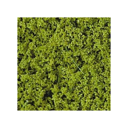 Filet de verdure vert clair 14x28 cm