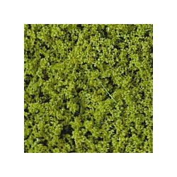 Feuillage vert clair 200 ml